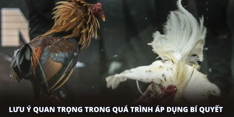 Lưu ý quan trọng trong quá trình áp dụng bí quyết