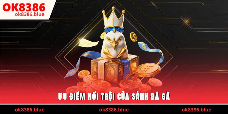 Ưu điểm nổi bật của sảnh đá gà